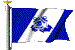 USCGAUX Flag